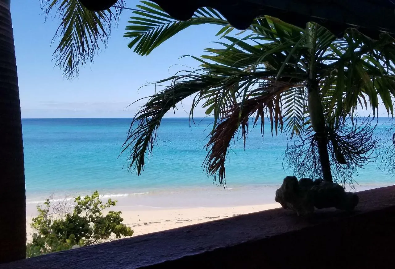 Orrie'S Beach Bar And Hotel Crab Hill
