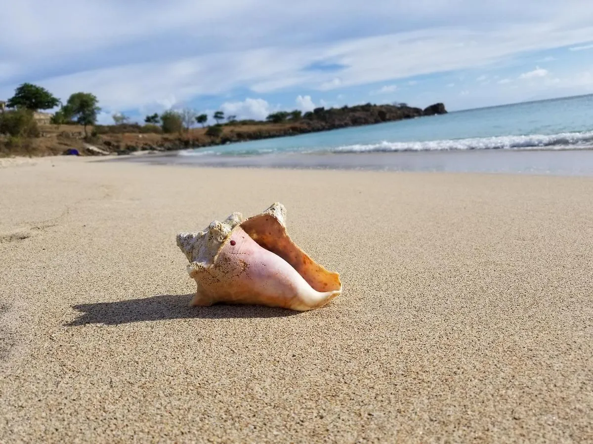 Orrie'S Beach Bar And Hotel Crab Hill
